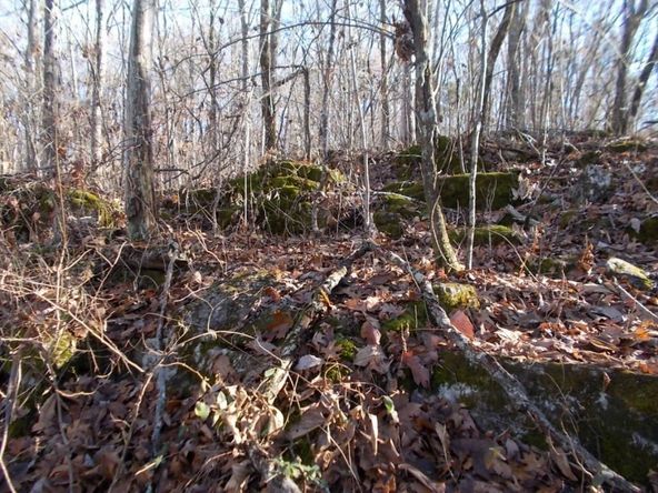 414 Doane Rd, New Market, TN 37820